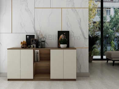 MẪU TỦ HỒ SƠ THẤP 10